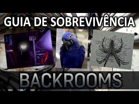 Guia de Sobrevivência nos Backrooms - Nível 2