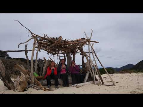 my3 a Nový Zéland 2019