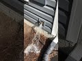 Jobs with Abram: Outdoor Hose Valve Leak