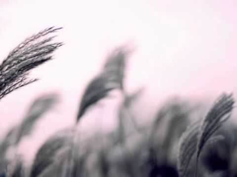 Lệ Úa Thanh Long Bass