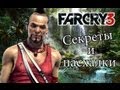 Far Cry 3 - Секреты и пасхалки 