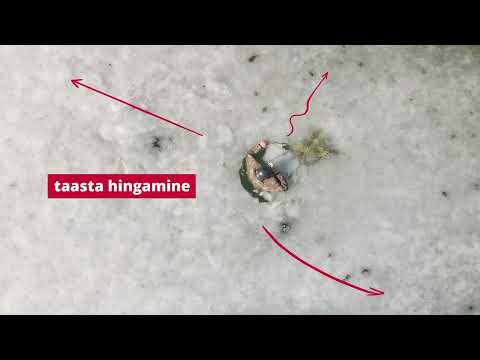 Jääaugust väljatulek ilma abivahenditeta - Päästeamet