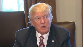 Trump feels "somewhat" vindicated by Rep. Nunes' comments