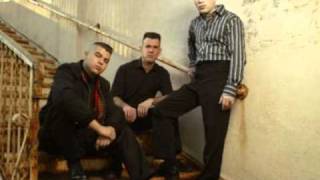 Jungle Cat-Tiger Army