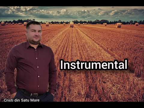  CREATORUL MEU TU ESTI CRISTI DIN SATU MARE 