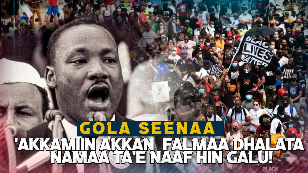 Gola Seenaa - ''Akkamiin akkan  Falmaa Dhalata Namaa Ta'e naaf hin galu!