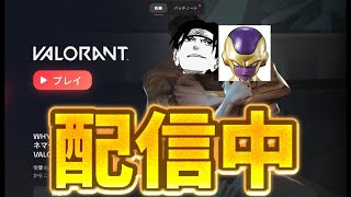 いったんコンペできるようになるまで【ヴァロラント/VALORANT】