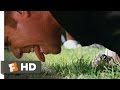 Step Brothers 6 8 Movie Clip Licking Dogsh 2008 HD