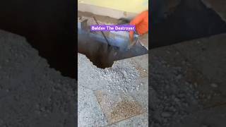 Download lagu Real Video Of Baldev The Destroyer #baldev #baldevdas #shorts mp3