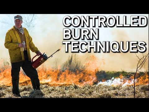 Habitat Management | Controlled Burn Techniques | Prescribed Fire