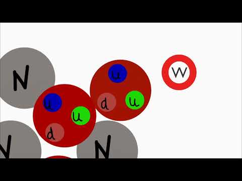 Beta Minus Zerfall (einfach und anschaulich erklärt)