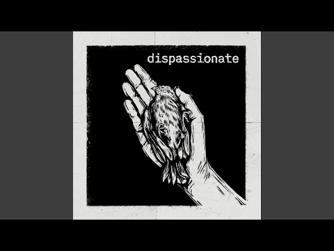 The Problematic Hollywood Rip Ride Rockit