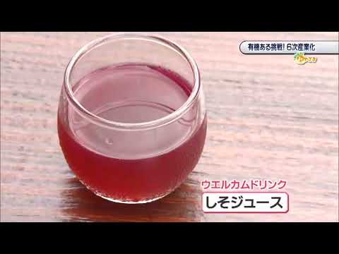 2021年8月21日(土)放送 「有機ある挑戦！6次産業化」