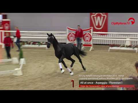 01  All at once - Arpeggio - Acord II