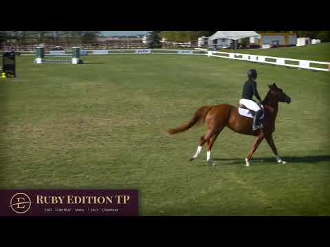 Ruby Edition TP Flatwork
