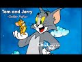 Tom And Jerry Da Tera Mera Rishta Slowed Reverb
