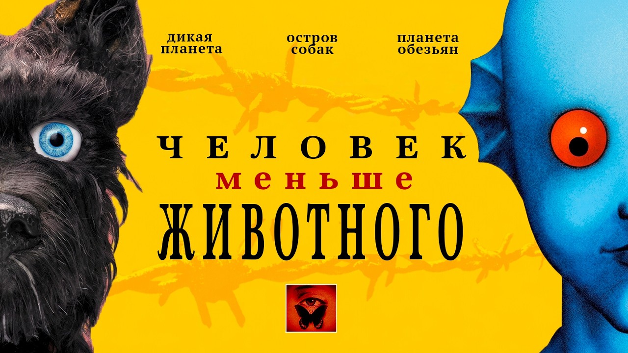 Мир, где человек не главный