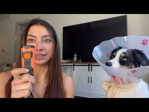 NPS Rechargeable Dog Barking Control Device: Stops All Challenges! Dog Training Silence Ultrasonic