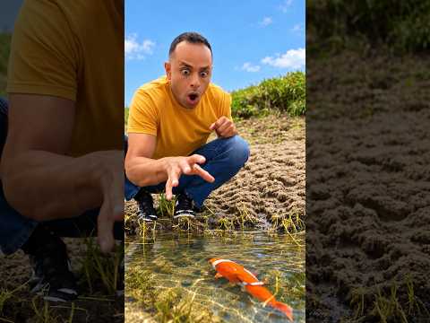 حلق حوش | catch the fish !! 🐟🫳 #fish #shorts #trending #sea #water #funny