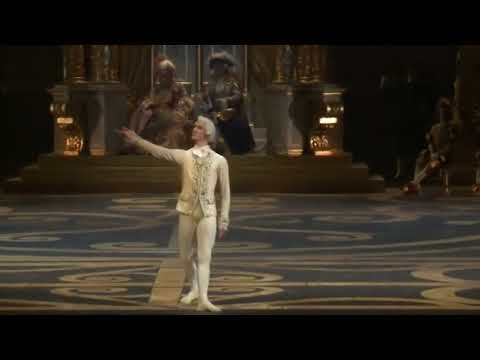 Semyon Chudin -  Désiré variation Act 3