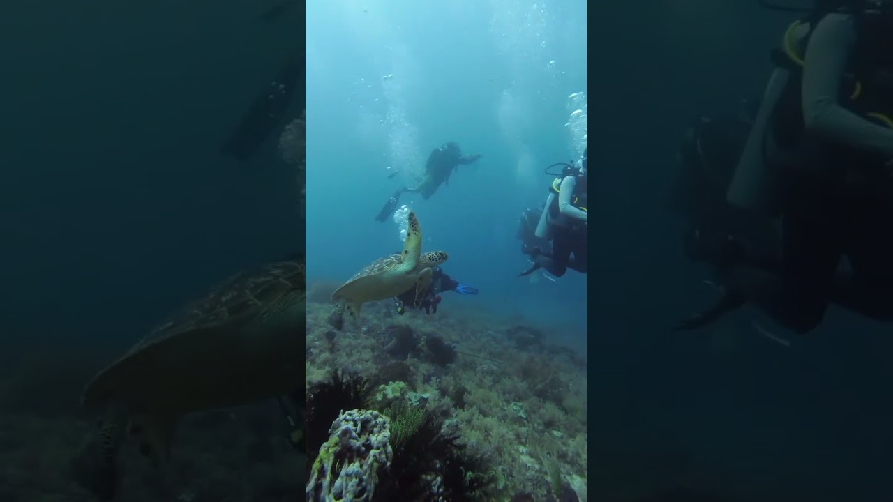 YouTube Short thumbnail