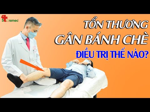 Tổn thương GÂN BÁNH CHÈ - Điều trị và chăm sóc thế nào?