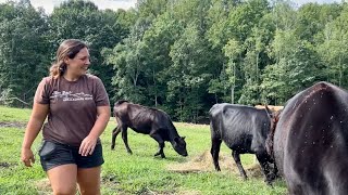 The Smell of Chow Chow || Hard Work & Family Favorites || August 2025