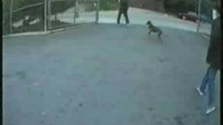 Beastie Boys - 5 piece chicken dinner