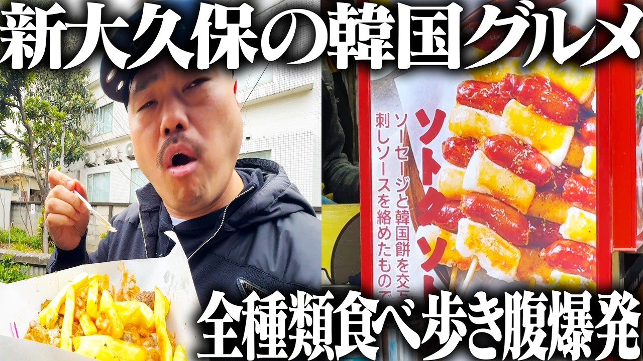 【新大久保の韓国グルメ】全種類食べ歩き腹爆発