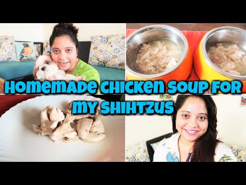 CHICKEN SOUP FOR DOGS DIY | How To Make Chicken Soup For Dogs | Homemade Recipes For Dog