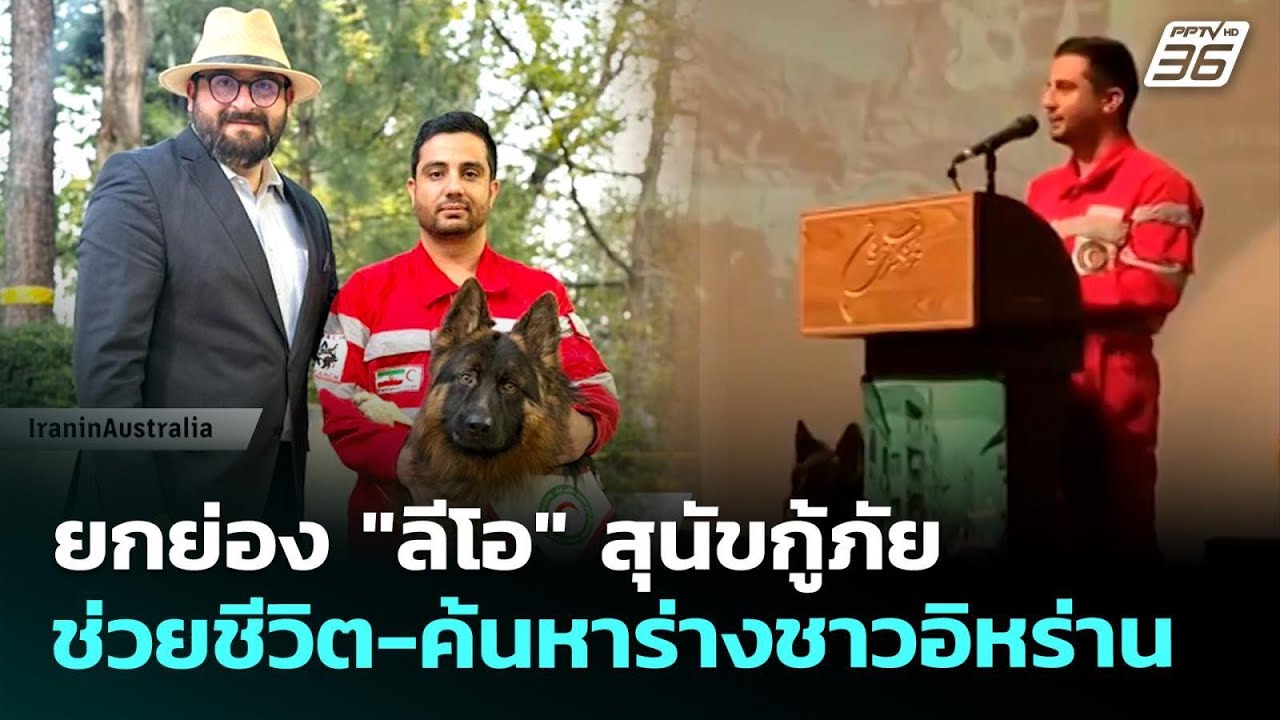 ยกย่อง "ลีโอ" สุนัขกู้ภัย ช่วยชีวิต-ค้นหาร่างชาวอิ?