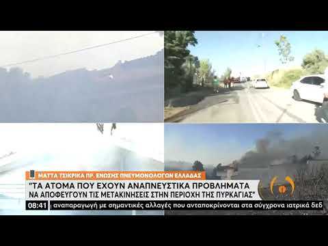 Ευάγγελος Μπουρνούς: «Ίσως να έχουν καεί περισσότερα από 10 σπίτια στο Ντράφι» | 20/07/2022 | ΕΡΤ