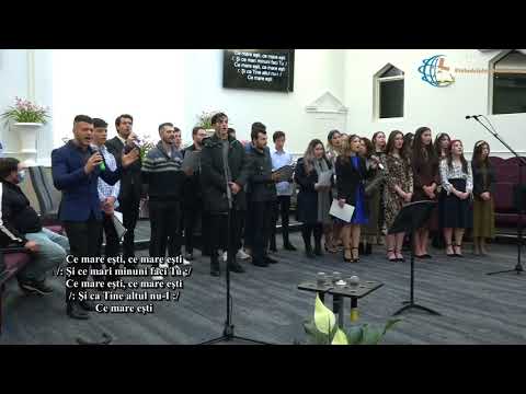 Tinerii Philadelphia - Vrednic esti de cinste