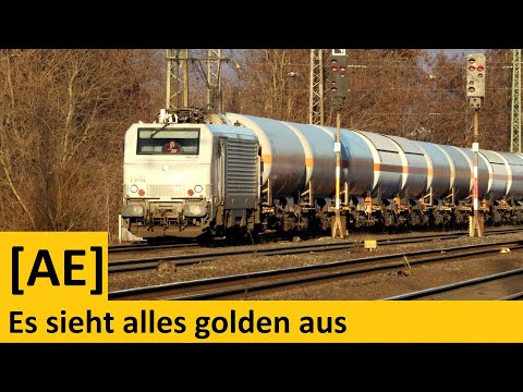 Es sieht alles golden aus | Henkelzug und akiem FRETchen in der Abendsonne | Alex