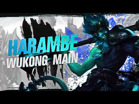 HARAMBE "#1 WUKONG NA" Montage | Best Wukong Plays