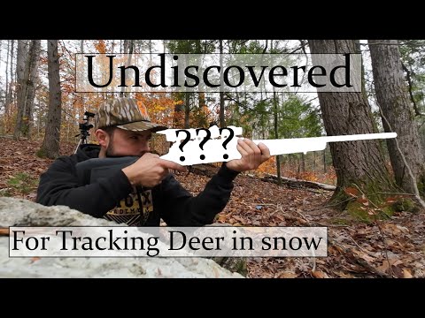 This is the BEST tracking rifle... that no one knows about. | Savage Impulse Driven Hunter