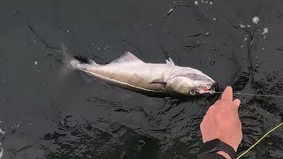 Fishing For Sea Monsters With A Moment That will Haunt Me Forever....