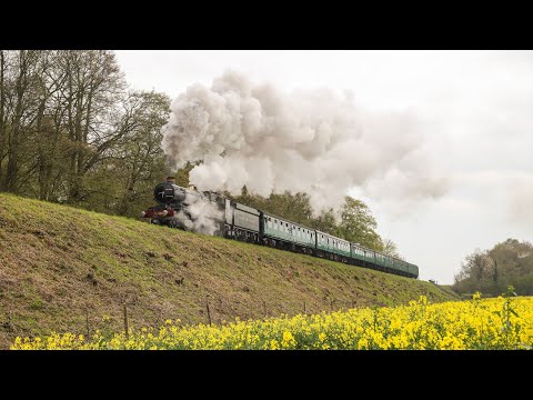 Watercress Line Spring Steam Gala Superstars!