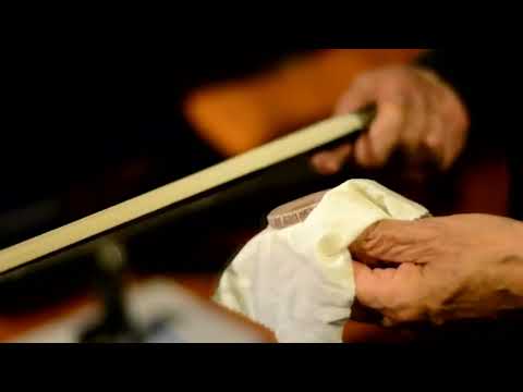 Presentación Los Reyes del Tango Orquesta Típica