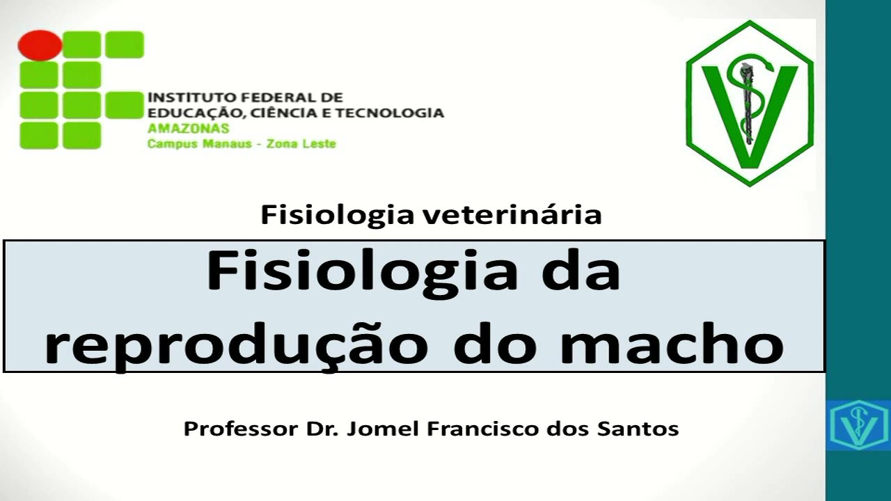 Fisiologia Da Reprodução Do Macho | Aula Completa | Fisiologia Aplicada e Detalhada