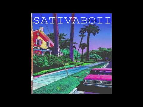 SativaBoii - Checks On Me