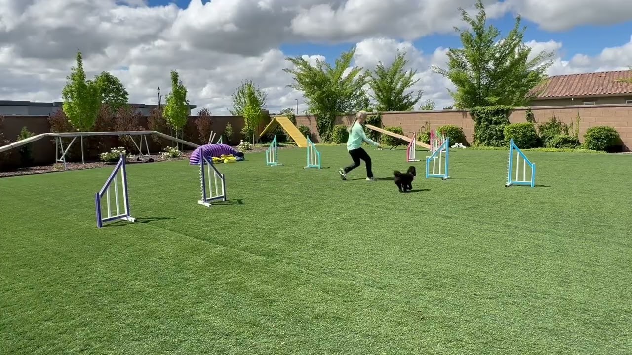 Wraps - Concept Transfer