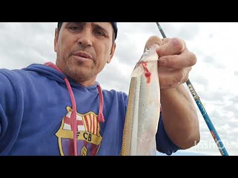 Pesca en kayak  laguna  melincue 