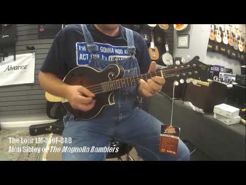 Immagine The Loar LM-310F Honey Creek F-Style Mandolin - 16
