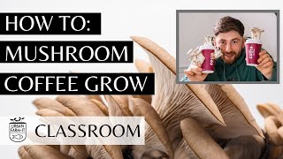 How To Grow Mushrooms On Coffee Grounds (Easy & Sustainable) | Urban Farm-It