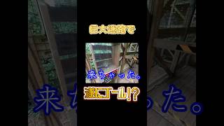 巨大迷路遂にゴール！......？？【ちびげらもん切り抜き】#shorts #ちびげらもん #旅行vlog #ハウステンボス #長崎 #切り抜き