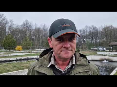 Cel mai bun Pastrav din tara - Locul de unde se poate cumpara