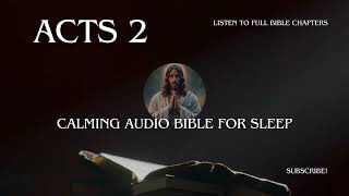 Acts 2 - Book of Acts Audio Bible from New International Version (NIV).