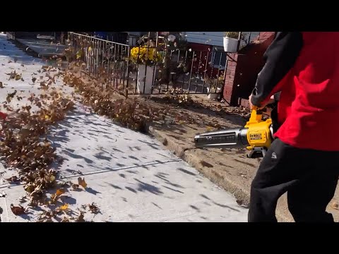 DEWALT 20V MAX RX Leaf Blower Review HOW POWERFUL IS IT ?