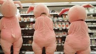 США 529: Свинство по понятиям или Лечим симптомы, поскольку сама болезнь неизлечима.